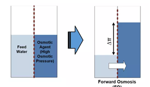 Application of the Novel FMBC Process in the Leachate Treatment Field